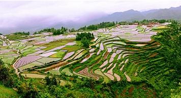 ����ɽ�^(q��)�r(n��ng)�C(j��)���l(f��)չ��(w��n)�}���������h www.dgjunlin.com